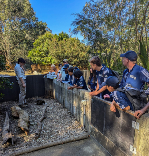 2024 Sydney Pathways Experience
